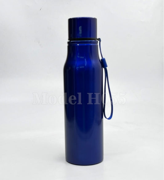 AquaSteel 800ml Stainless Steel Water Bottle