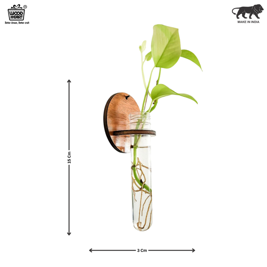 Wall-Mount Test Tube Planter