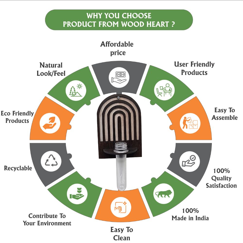 Arch Design Wall-Mount Test Tube Planter