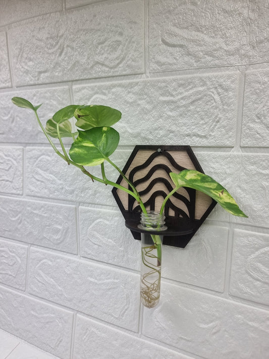 Wave Hexa Wall-Mount Test Tube Planter
