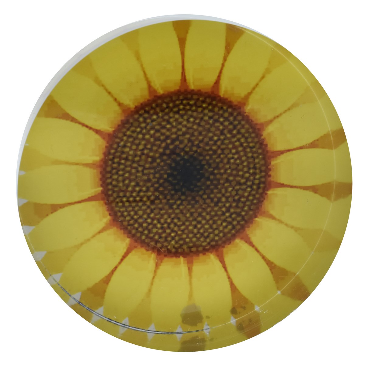 Mandala Art Round Acrylic Paperweight