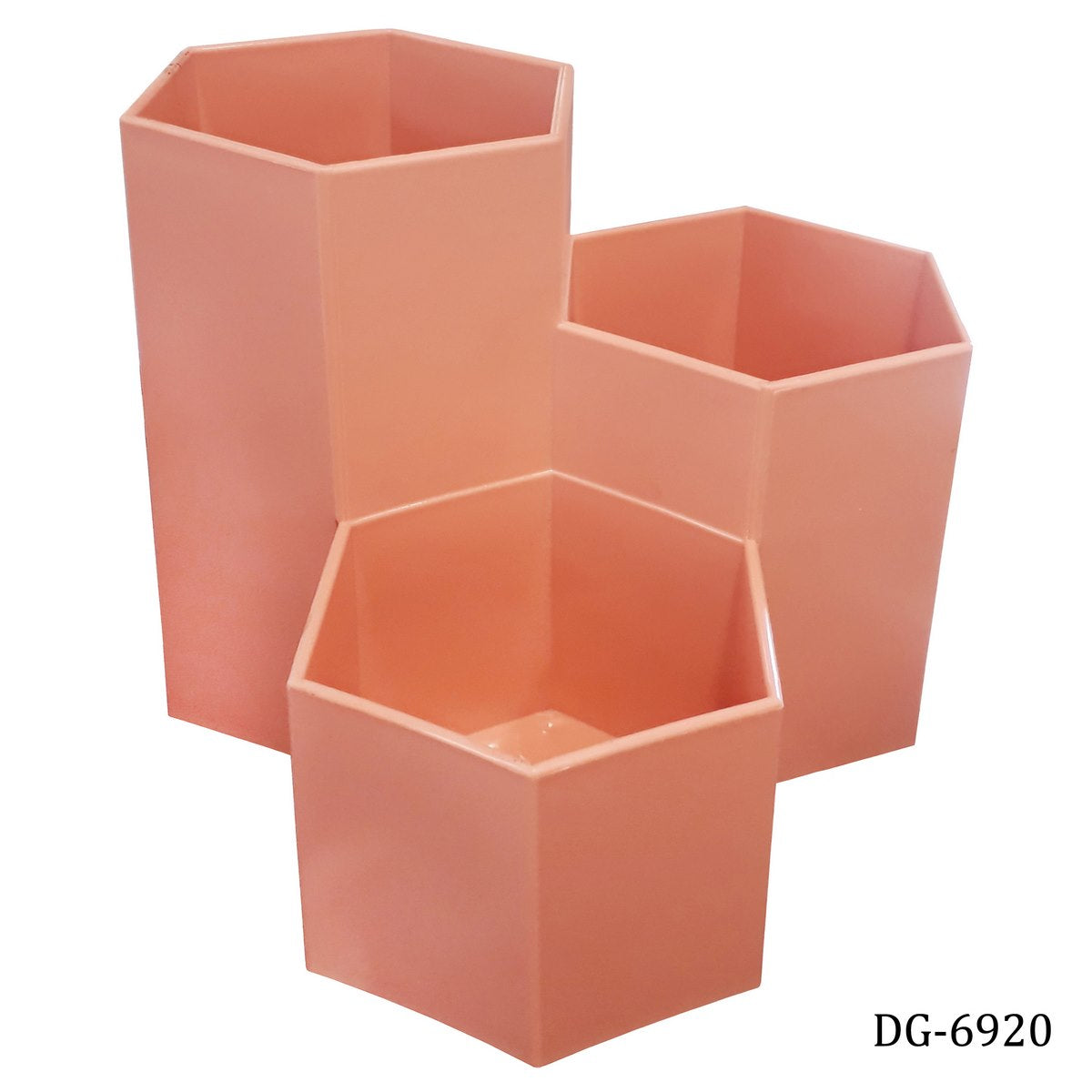 Hexa Trio Pen Stand Organizer