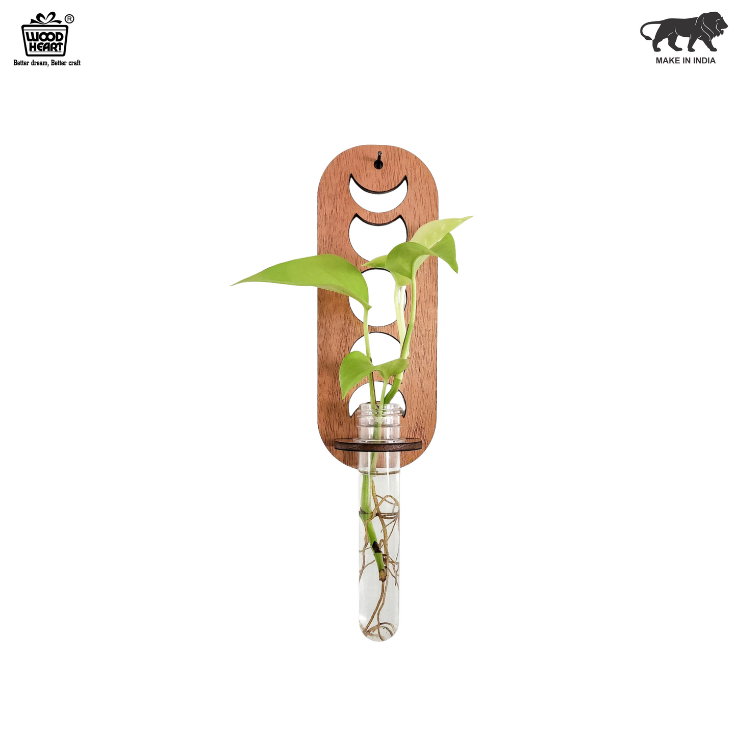 MoonGlow™ Wooden Wall Planter with Test Tube Vase