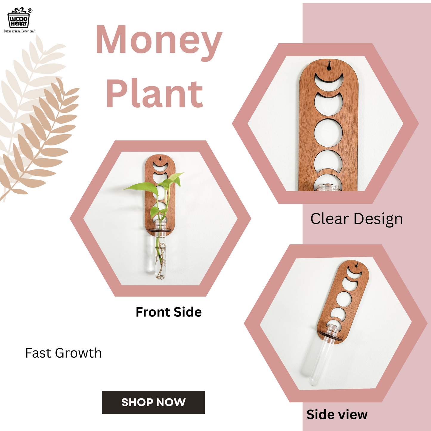 MoonGlow™ Wooden Wall Planter with Test Tube Vase
