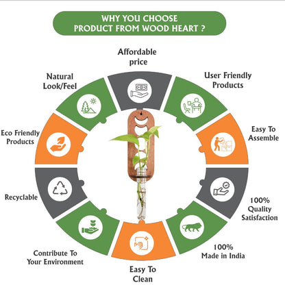 MoonGlow™ Wooden Wall Planter with Test Tube Vase