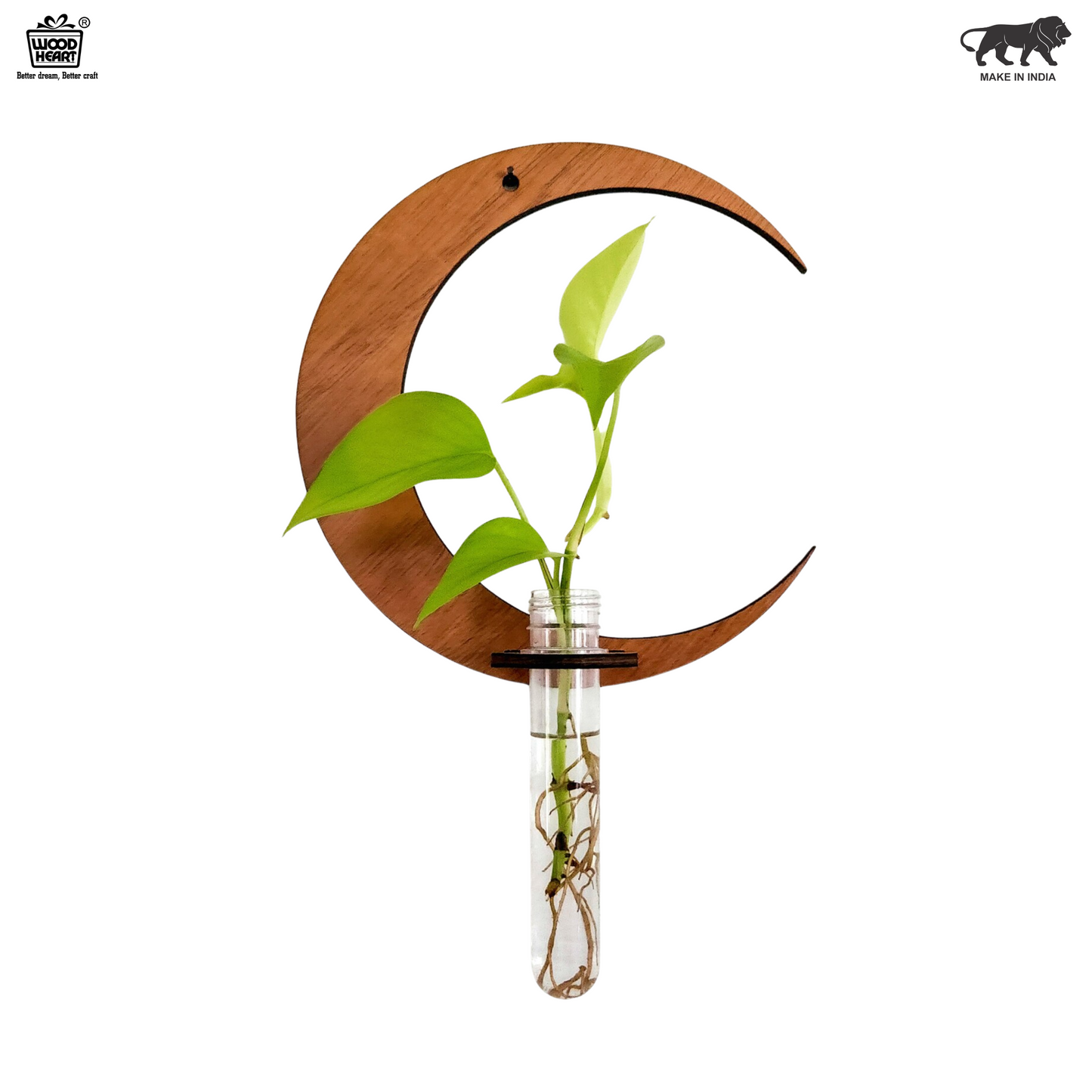 LunaBloom™ Crescent Moon Wall Planter with Glass Vase