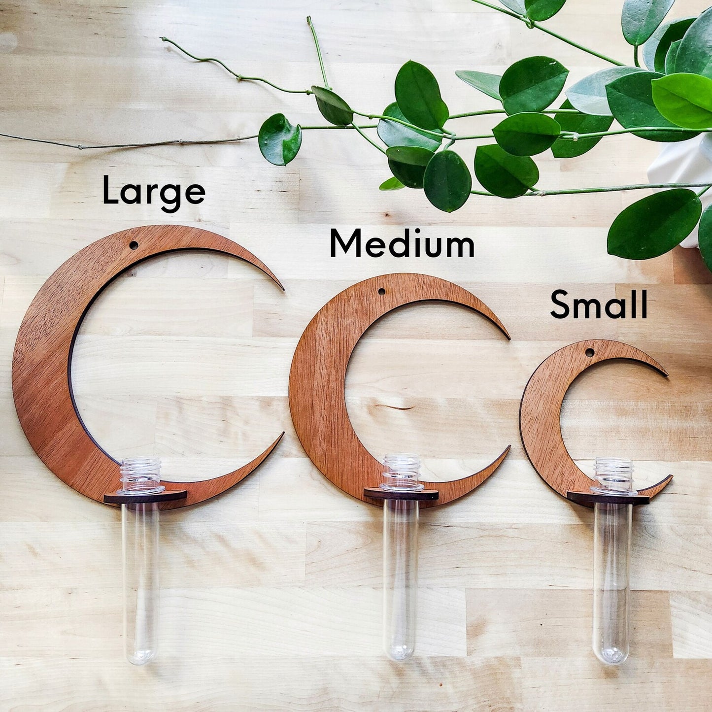 LunaBloom™ Crescent Moon Wall Planter with Glass Vase