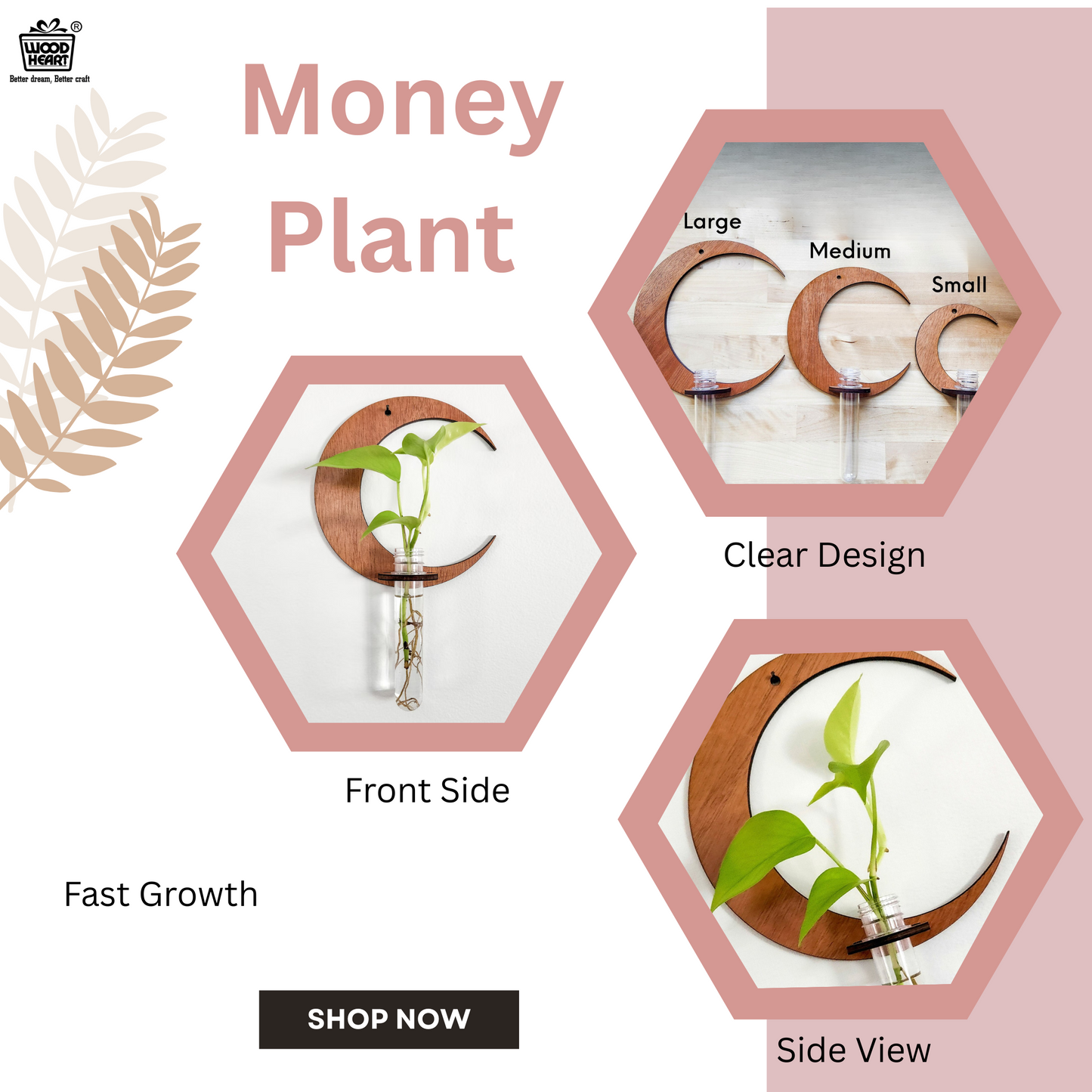 LunaBloom™ Crescent Moon Wall Planter with Glass Vase