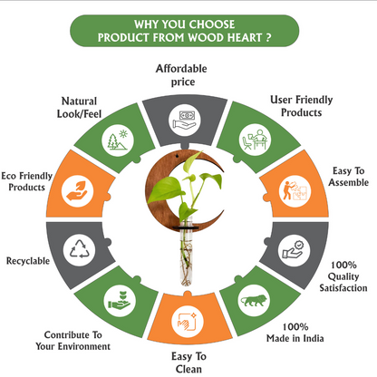 LunaBloom™ Crescent Moon Wall Planter with Glass Vase