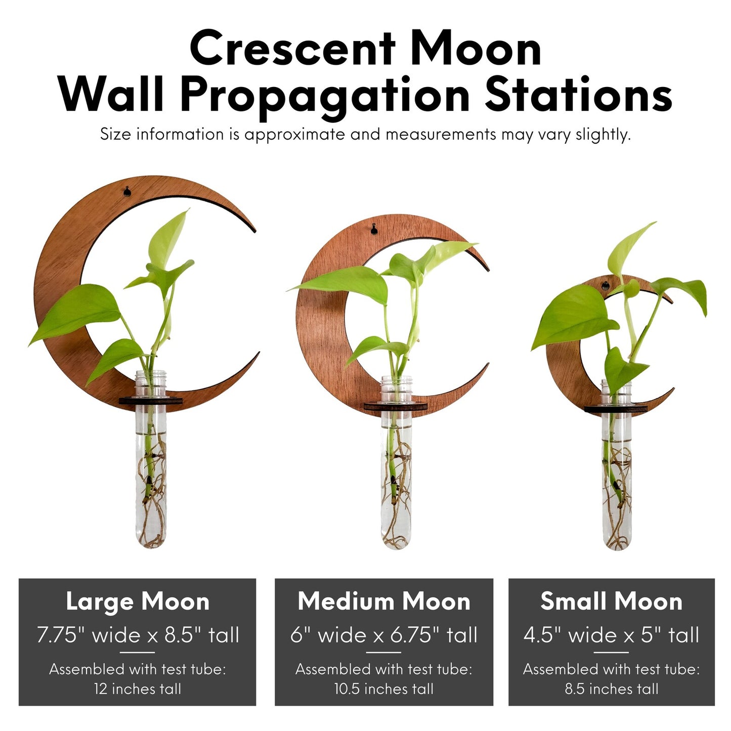 LunaBloom™ Crescent Moon Wall Planter with Glass Vase