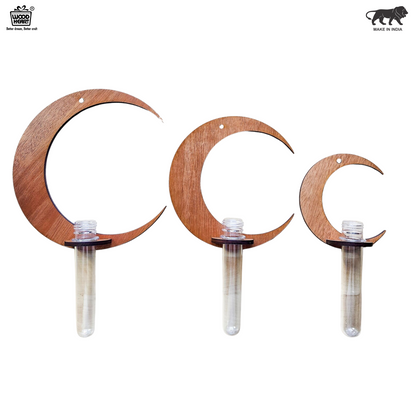 LunaBloom™ Crescent Moon Wall Planter with Glass Vase