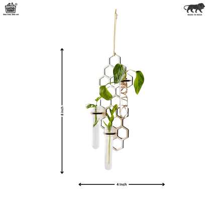 HoneyBloom™ Hanging Triple Propagation Station