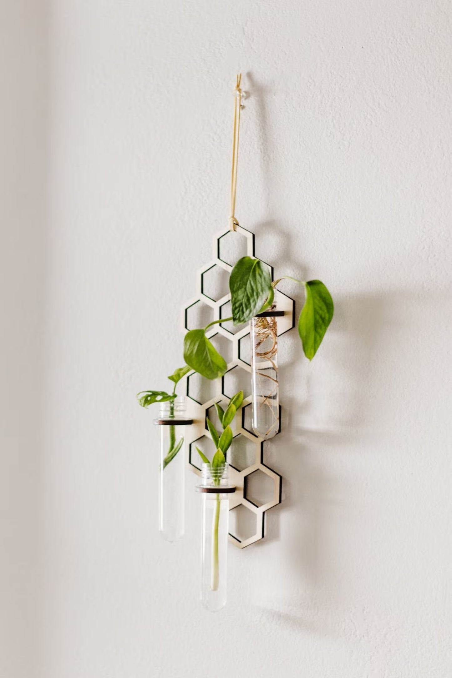 HoneyBloom™ Hanging Triple Propagation Station