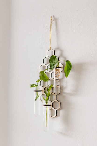 HoneyBloom™ Hanging Triple Propagation Station