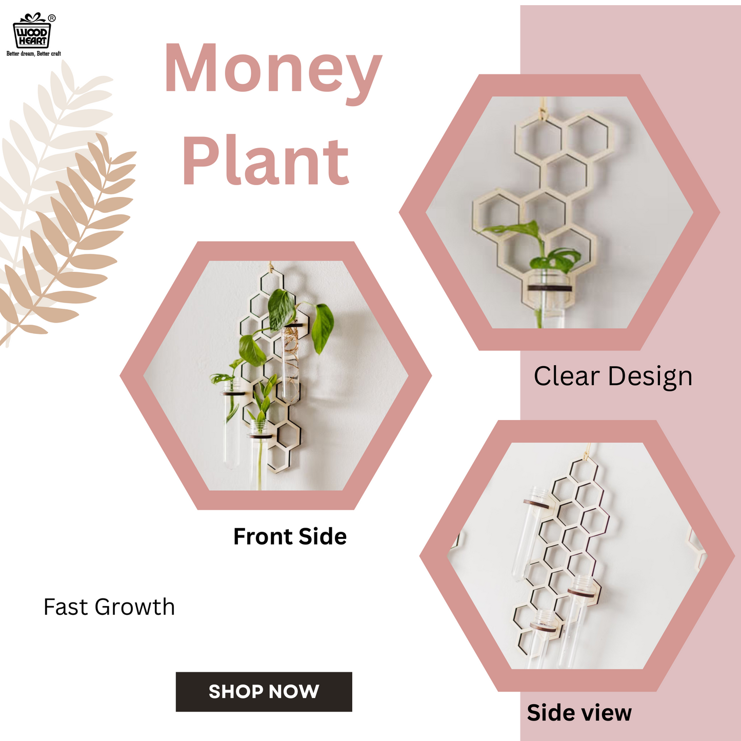 HoneyBloom™ Hanging Triple Propagation Station