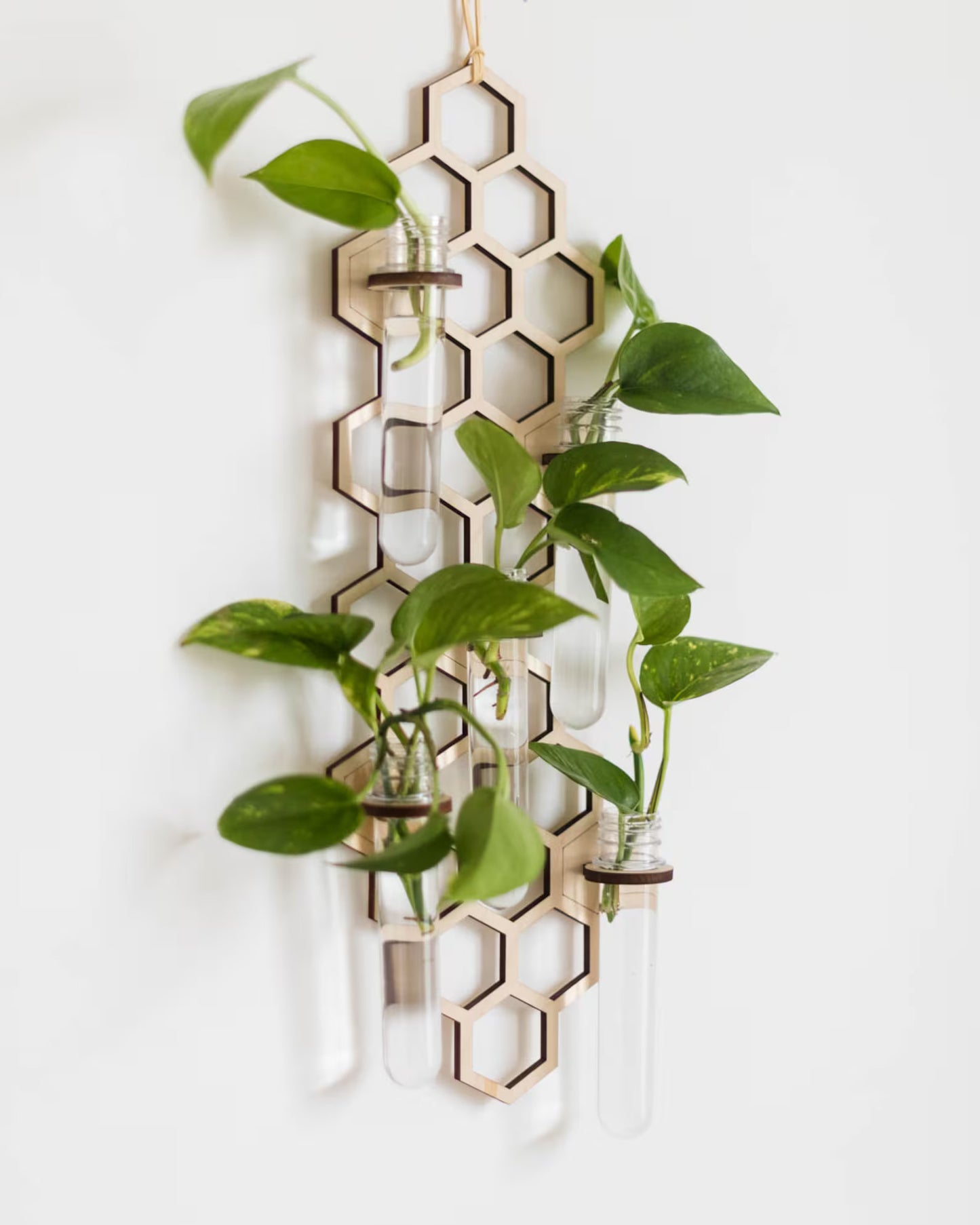 HoneyBloom™ Hanging Triple Propagation Station