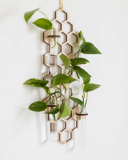 HoneyBloom™ Hanging Triple Propagation Station