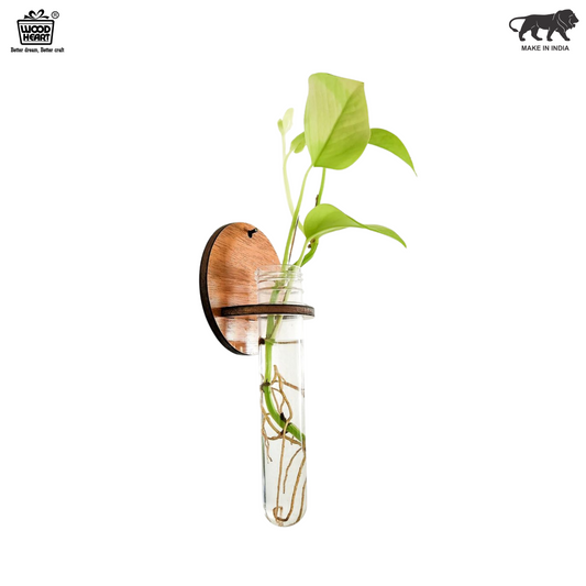 Wall-Mount Test Tube Planter