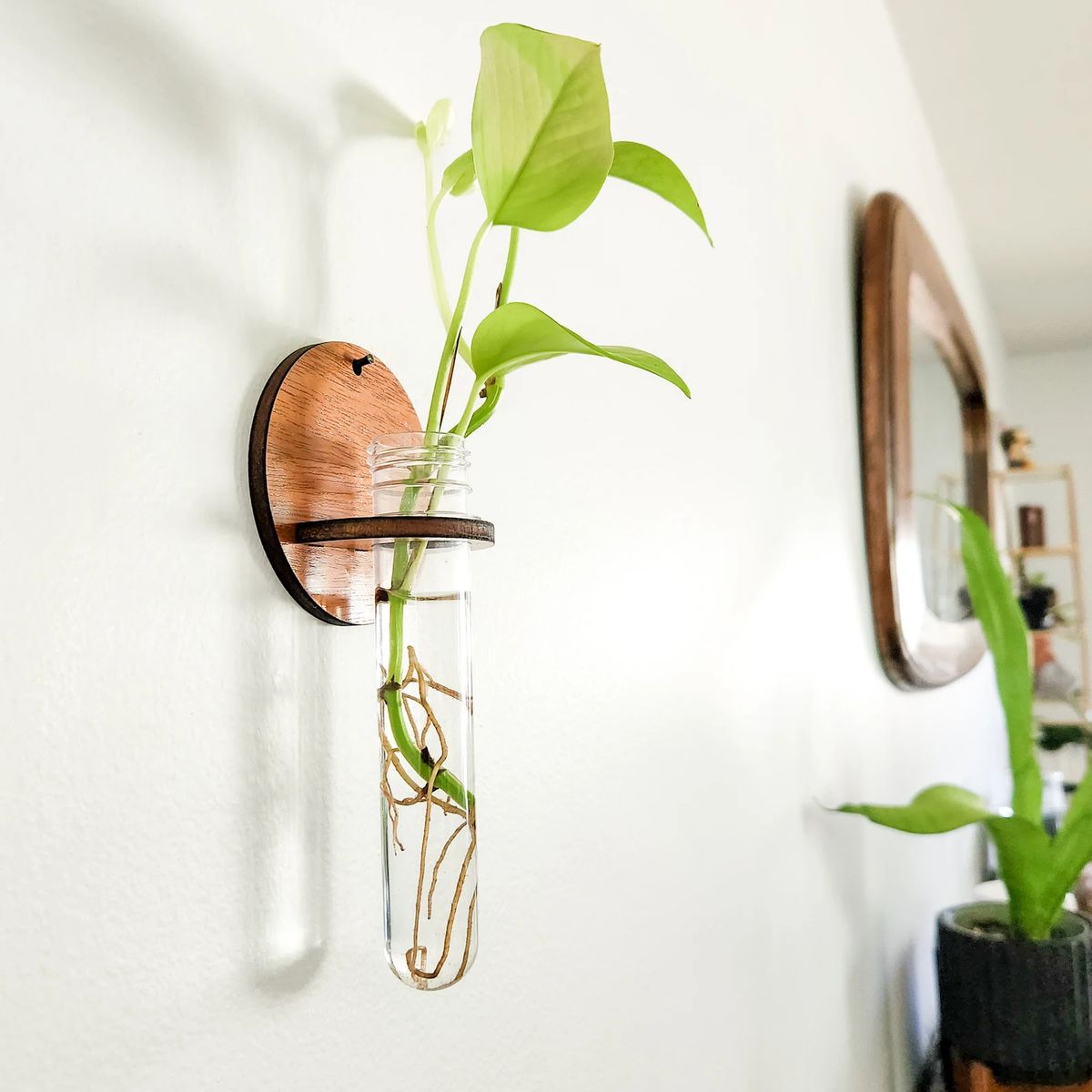 Wall-Mount Test Tube Planter