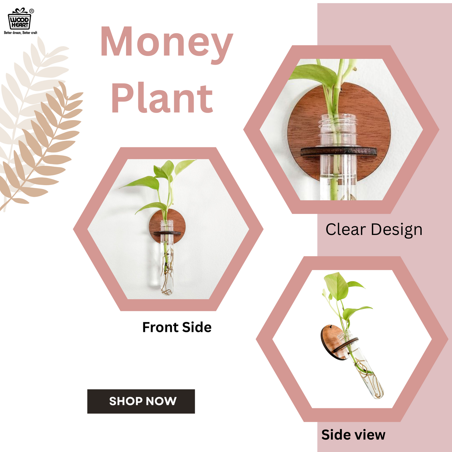 Wall-Mount Test Tube Planter