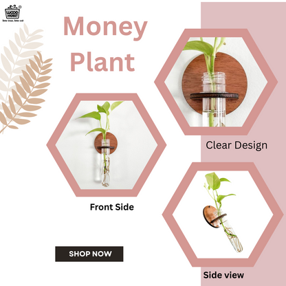 Wall-Mount Test Tube Planter