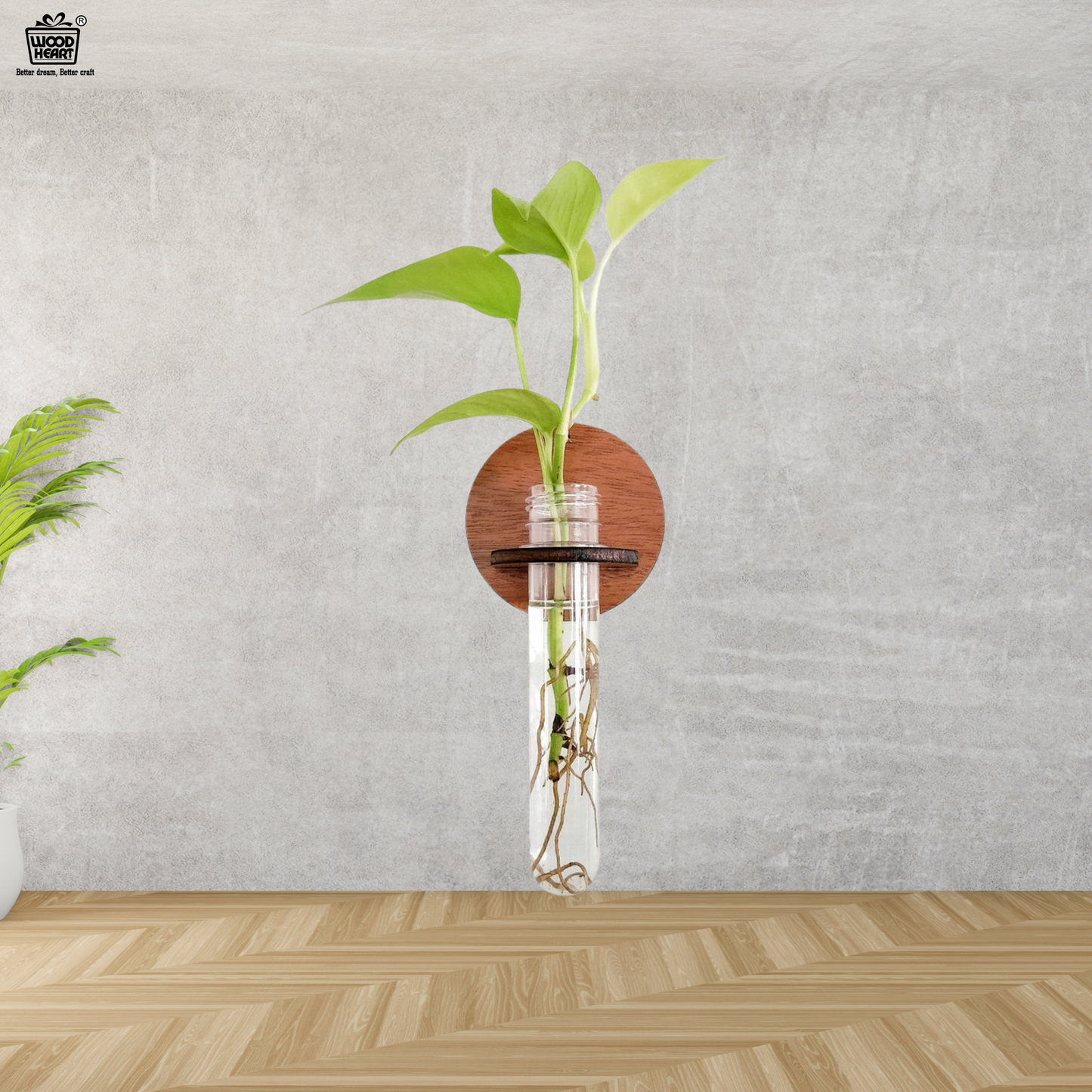 Wall-Mount Test Tube Planter