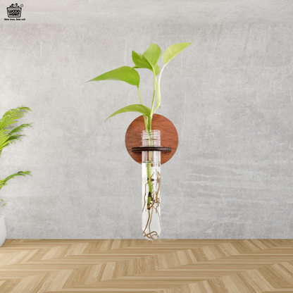 Wall-Mount Test Tube Planter