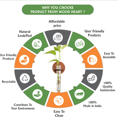 Wall-Mount Test Tube Planter