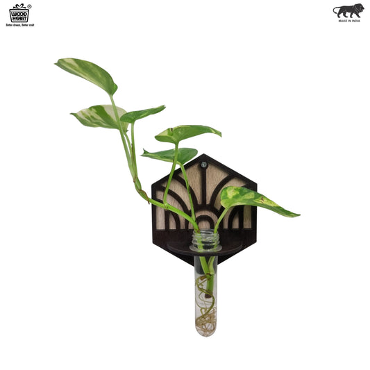 Hexa Wall-Mount Test Tube Planter
