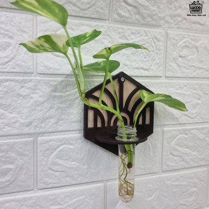 Hexa Wall-Mount Test Tube Planter
