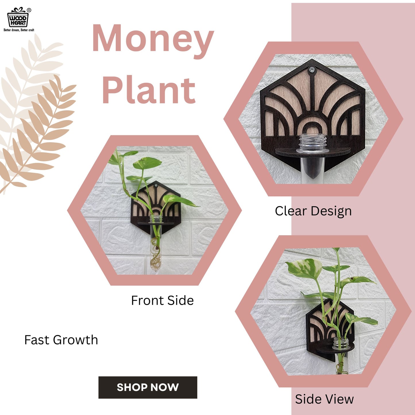 Hexa Wall-Mount Test Tube Planter