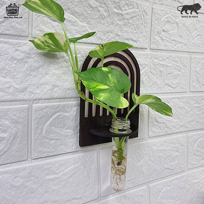 Arch Design Wall-Mount Test Tube Planter