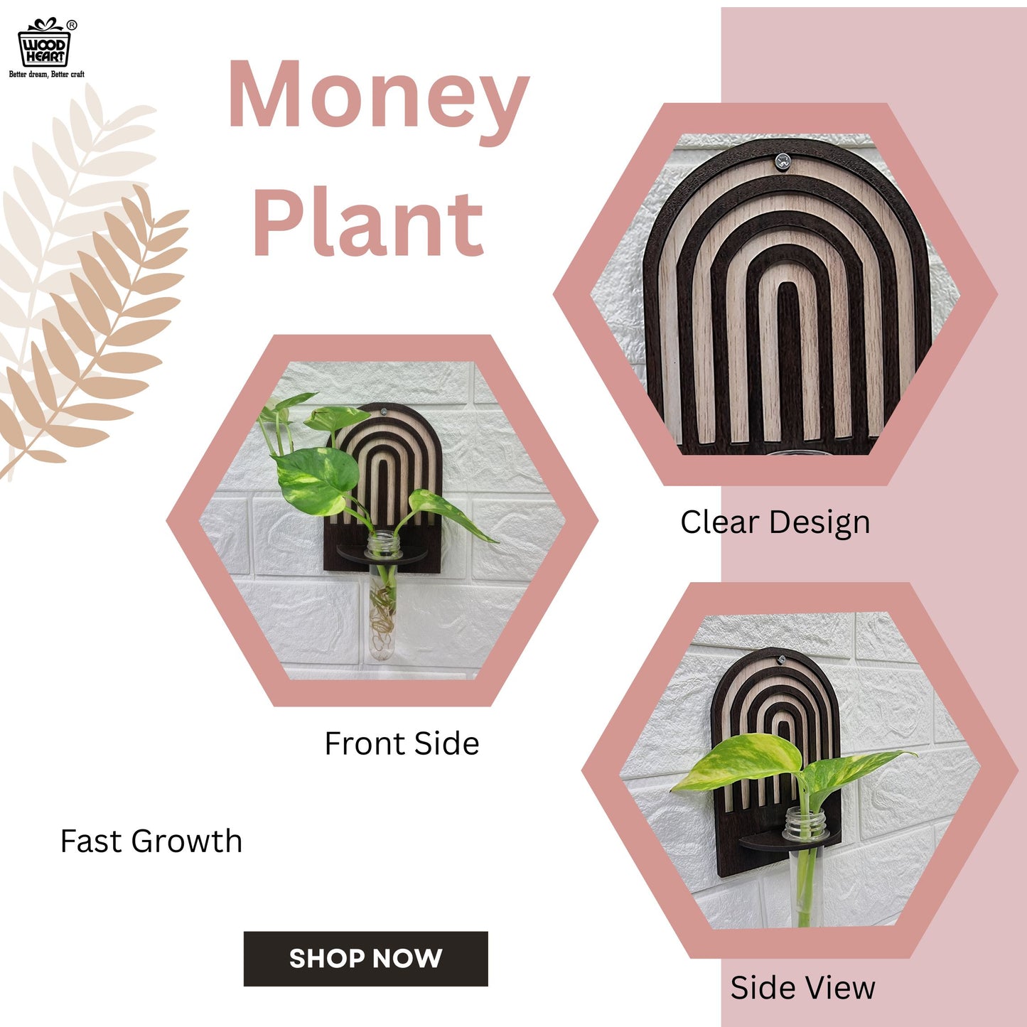 Arch Design Wall-Mount Test Tube Planter