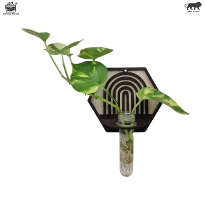 Hexa Arch Wall-Mount Test Tube Planter