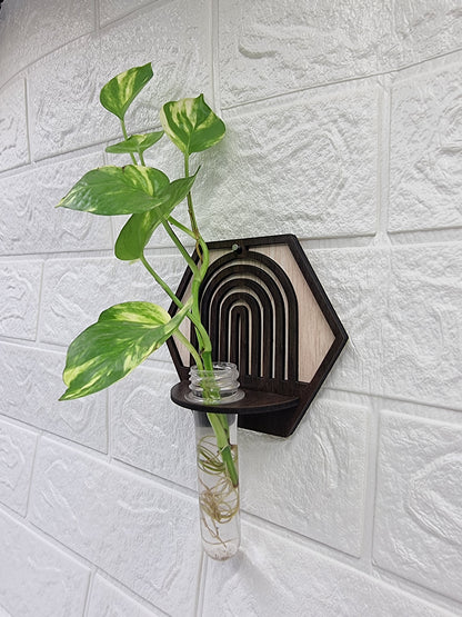 Hexa Arch Wall-Mount Test Tube Planter