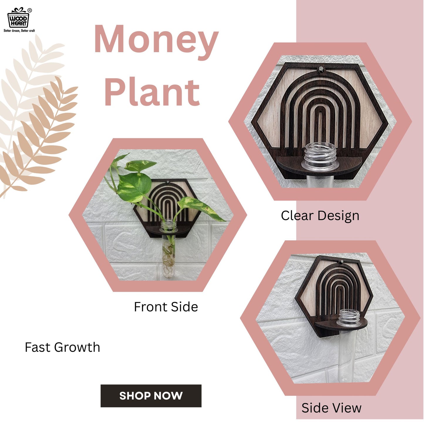 Hexa Arch Wall-Mount Test Tube Planter