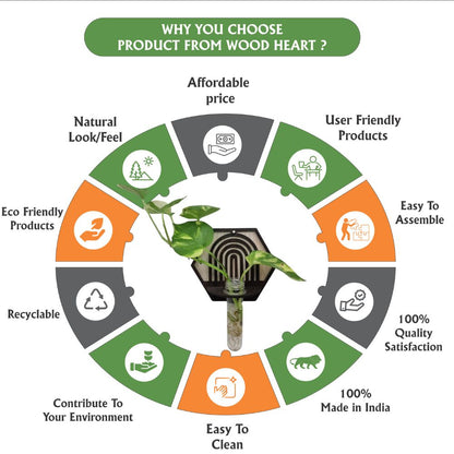 Hexa Arch Wall-Mount Test Tube Planter