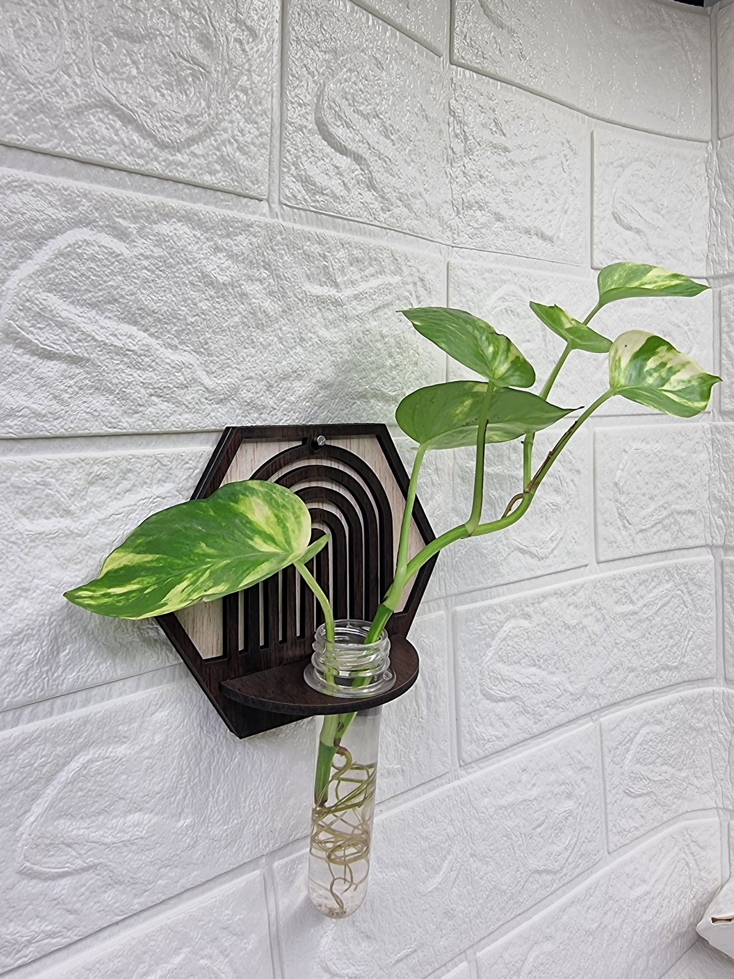 Hexa Arch Wall-Mount Test Tube Planter