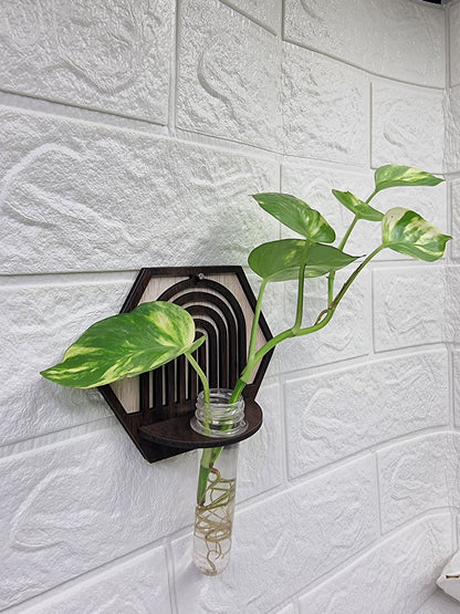 Hexa Arch Wall-Mount Test Tube Planter