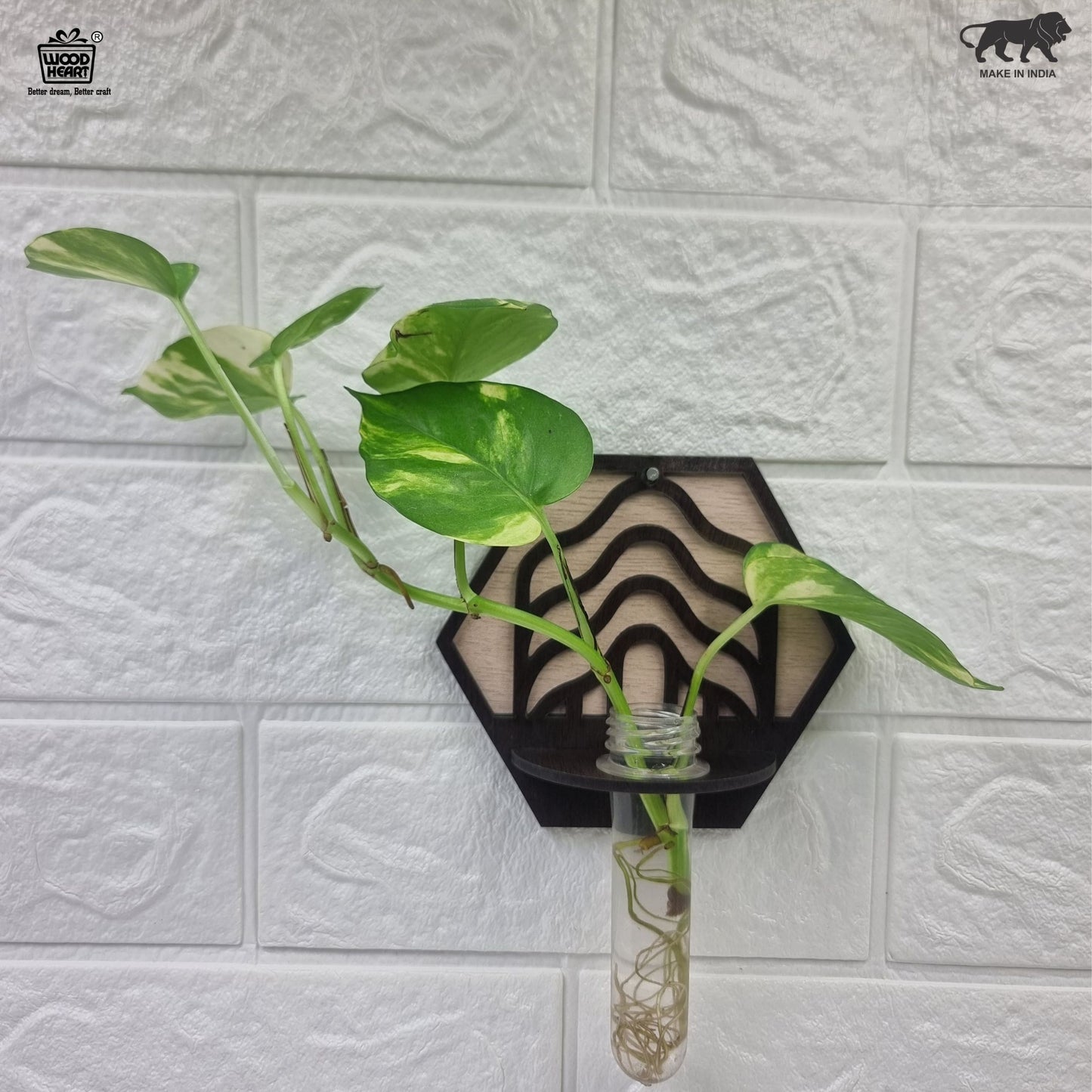 Wave Hexa Wall-Mount Test Tube Planter