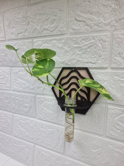 Wave Hexa Wall-Mount Test Tube Planter