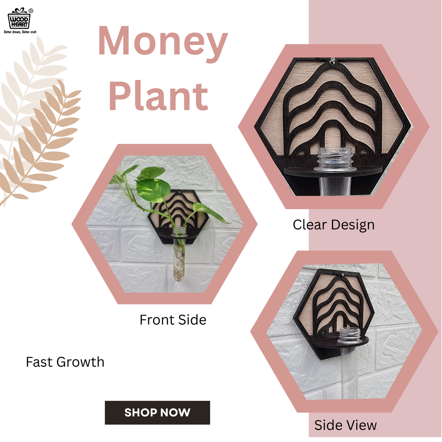 Wave Hexa Wall-Mount Test Tube Planter
