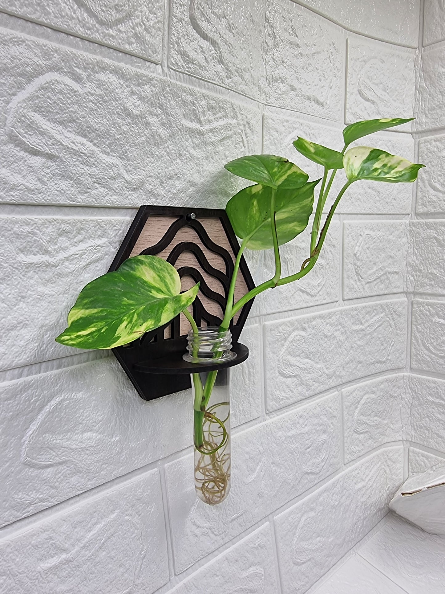 Wave Hexa Wall-Mount Test Tube Planter
