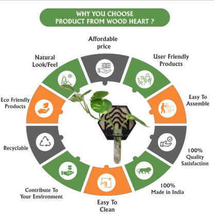 Wave Hexa Wall-Mount Test Tube Planter