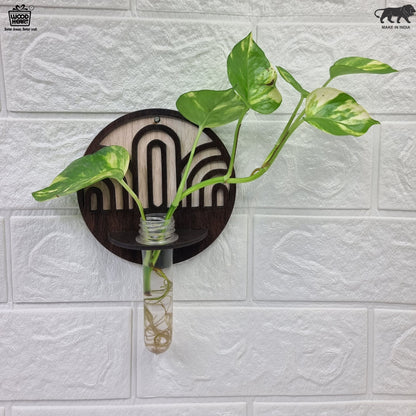 ArchFlow Round Wall-Mount Test Tube Planter