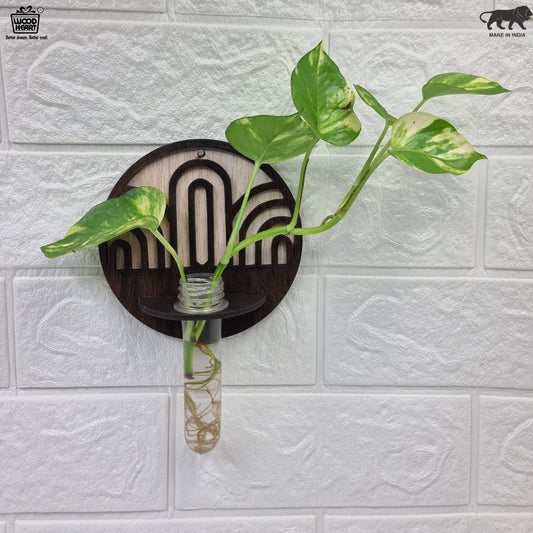 ArchFlow Round Wall-Mount Test Tube Planter