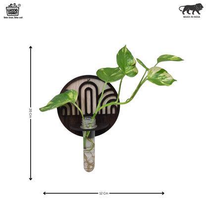 ArchFlow Round Wall-Mount Test Tube Planter