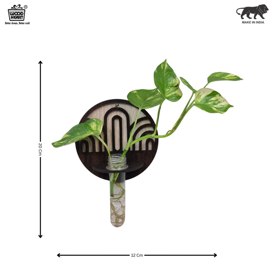 ArchFlow Round Wall-Mount Test Tube Planter