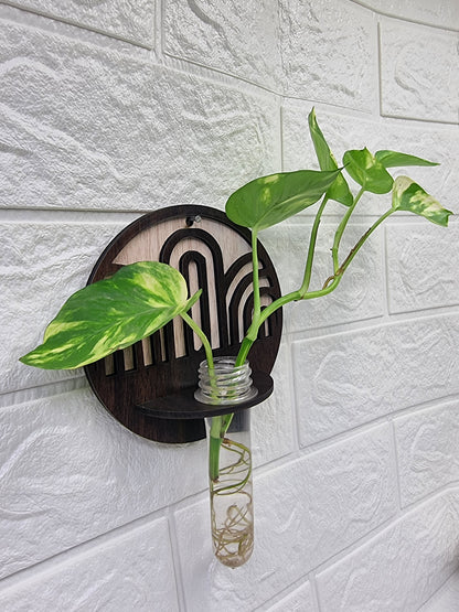 ArchFlow Round Wall-Mount Test Tube Planter