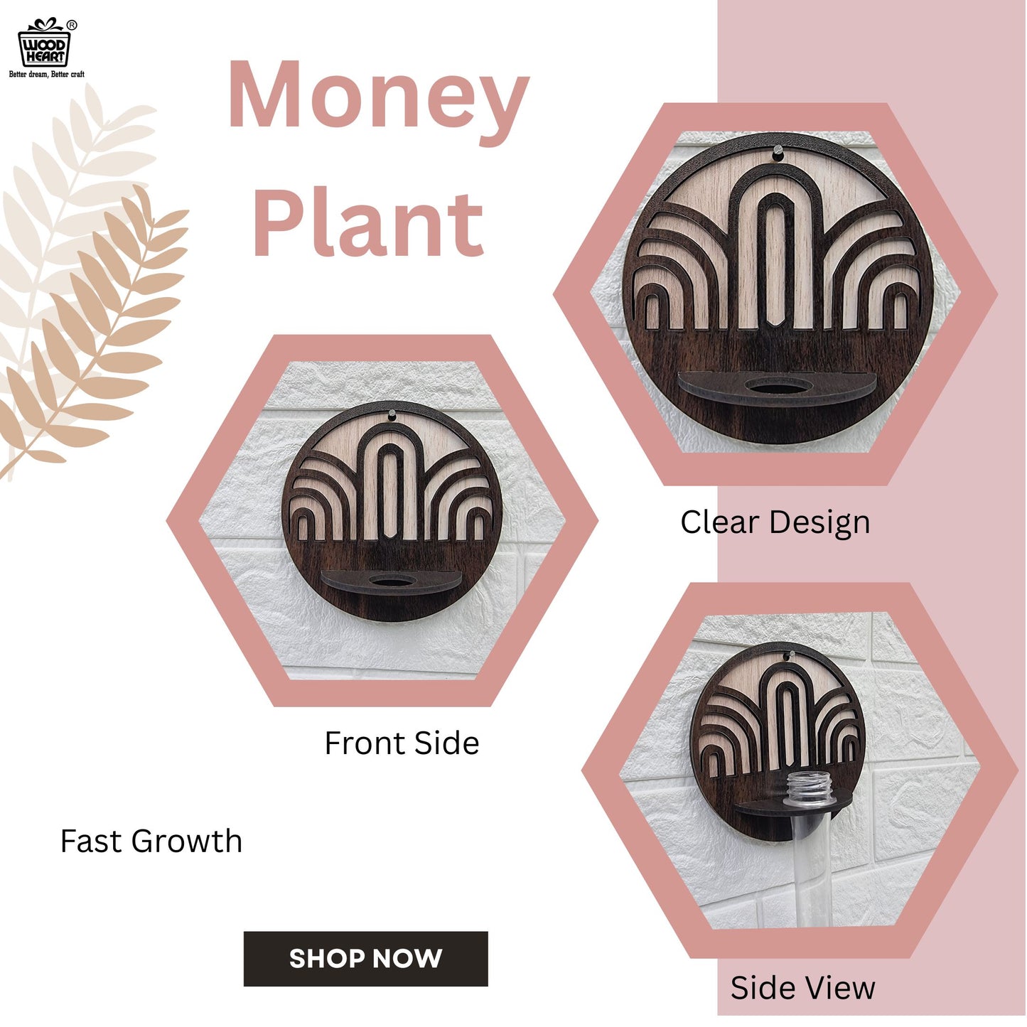 ArchFlow Round Wall-Mount Test Tube Planter